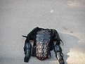 Натиснете снимката за да я уголемите

Име:IMGP0429.JPG
Прегледи:253
Размер:117.9 КБ
ID:5061796