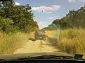 Натиснете снимката за да я уголемите

Име:DSC00486.jpg
Прегледи:119
Размер:169.3 КБ
ID:5061857