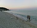 Натиснете снимката за да я уголемите

Име:DSC00518.jpg
Прегледи:118
Размер:105.1 КБ
ID:5061879