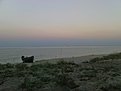Натиснете снимката за да я уголемите

Име:DSC00530.jpg
Прегледи:129
Размер:83.7 КБ
ID:5061890