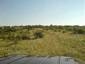 Натиснете снимката за да я уголемите

Име:DSC00979.jpg
Прегледи:225
Размер:118.3 КБ
ID:5061948