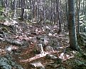 Натиснете снимката за да я уголемите

Име:010.jpg
Прегледи:720
Размер:289.0 КБ
ID:5062164