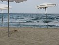 Натиснете снимката за да я уголемите

Име:IMG_2664 2.JPG
Прегледи:230
Размер:192.1 КБ
ID:5064216
