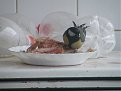 Натиснете снимката за да я уголемите

Име:2008_02190319.JPG
Прегледи:146
Размер:458.3 КБ
ID:5064464