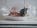 Натиснете снимката за да я уголемите

Име:2008_02190320.JPG
Прегледи:149
Размер:458.7 КБ
ID:5064465