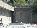 Натиснете снимката за да я уголемите

Име:DSC02504.jpg
Прегледи:102
Размер:145.1 КБ
ID:5064615