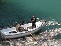 Натиснете снимката за да я уголемите

Име:20080802_0177.jpg
Прегледи:147
Размер:173.3 КБ
ID:5064682