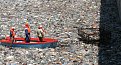 Натиснете снимката за да я уголемите

Име:20080802_0170.jpg
Прегледи:91
Размер:182.0 КБ
ID:5064760