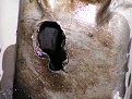 Натиснете снимката за да я уголемите

Име:PICT0517.jpg
Прегледи:1725
Размер:177.4 КБ
ID:5064869