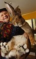 Натиснете снимката за да я уголемите

Име:big-ass-bunny.jpg
Прегледи:219
Размер:46.0 КБ
ID:5065032