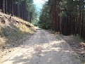 Натиснете снимката за да я уголемите

Име:Picture 023.jpg
Прегледи:94
Размер:198.8 КБ
ID:5066092
