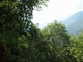 Натиснете снимката за да я уголемите

Име:Picture 018.jpg
Прегледи:83
Размер:221.9 КБ
ID:5066093