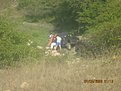 Натиснете снимката за да я уголемите

Име:Picture 444.jpg
Прегледи:156
Размер:151.2 КБ
ID:5066244