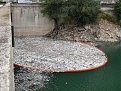 Натиснете снимката за да я уголемите

Име:20080831_0304.jpg
Прегледи:130
Размер:221.1 КБ
ID:5066498