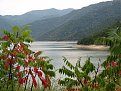 Натиснете снимката за да я уголемите

Име:20080831_0298.jpg
Прегледи:111
Размер:172.0 КБ
ID:5066510
