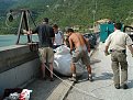 Натиснете снимката за да я уголемите

Име:DSC02734.jpg
Прегледи:114
Размер:194.6 КБ
ID:5066644