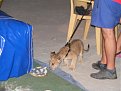 Натиснете снимката за да я уголемите

Име:DSCF1121.JPG
Прегледи:163
Размер:404.8 КБ
ID:5067602