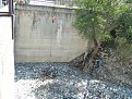 Натиснете снимката за да я уголемите

Име:Picture 015.jpg
Прегледи:79
Размер:417.0 КБ
ID:5067683