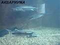 Натиснете снимката за да я уголемите

Име:toplofikacia 274.jpg
Прегледи:167
Размер:162.3 КБ
ID:5067912