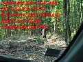 Натиснете снимката за да я уголемите

Име:toplofikacia 419.jpg
Прегледи:171
Размер:316.3 КБ
ID:5067923