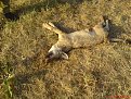 Натиснете снимката за да я уголемите

Име:DSC01135.jpg
Прегледи:404
Размер:265.7 КБ
ID:5068127