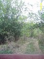 Натиснете снимката за да я уголемите

Име:ALIM0839.jpg
Прегледи:241
Размер:162.2 КБ
ID:5068201