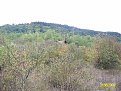 Натиснете снимката за да я уголемите

Име:ALIM0850.jpg
Прегледи:302
Размер:246.6 КБ
ID:5068207