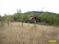 Натиснете снимката за да я уголемите

Име:ALIM0852.jpg
Прегледи:331
Размер:211.5 КБ
ID:5068208