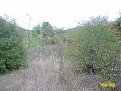 Натиснете снимката за да я уголемите

Име:ALIM0898.jpg
Прегледи:176
Размер:265.7 КБ
ID:5068230