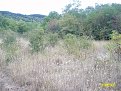 Натиснете снимката за да я уголемите

Име:ALIM0900.jpg
Прегледи:169
Размер:289.4 КБ
ID:5068231