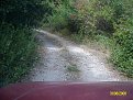 Натиснете снимката за да я уголемите

Име:ALIM0931.jpg
Прегледи:178
Размер:269.8 КБ
ID:5068243