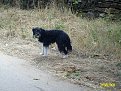 Натиснете снимката за да я уголемите

Име:ALIM0945.jpg
Прегледи:191
Размер:274.2 КБ
ID:5068252