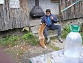 Натиснете снимката за да я уголемите

Име:PA280046.JPG
Прегледи:407
Размер:88.1 КБ
ID:5068284