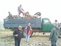 Натиснете снимката за да я уголемите

Име:proba 102.jpg
Прегледи:122
Размер:141.6 КБ
ID:5068513