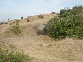 Натиснете снимката за да я уголемите

Име:SL272507.jpg
Прегледи:232
Размер:207.3 КБ
ID:5068538
