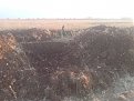 Натиснете снимката за да я уголемите

Име:DSC00630.jpg
Прегледи:299
Размер:137.3 КБ
ID:5068864