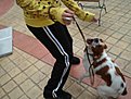 Натиснете снимката за да я уголемите

Име:DSC03147.jpg
Прегледи:126
Размер:104.1 КБ
ID:5069561