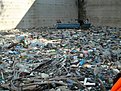Натиснете снимката за да я уголемите

Име:DSC03164.jpg
Прегледи:134
Размер:169.3 КБ
ID:5069562