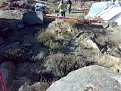 Натиснете снимката за да я уголемите

Име:05102008120.jpg
Прегледи:190
Размер:173.7 КБ
ID:5070210