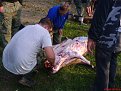Натиснете снимката за да я уголемите

Име:DSC01021.jpg
Прегледи:288
Размер:149.8 КБ
ID:5070292