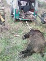 Натиснете снимката за да я уголемите

Име:IMAG0365.jpg
Прегледи:271
Размер:171.5 КБ
ID:5070649