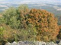 Натиснете снимката за да я уголемите

Име:IMG_3059 2.JPG
Прегледи:103
Размер:694.1 КБ
ID:5070697
