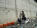 Натиснете снимката за да я уголемите

Име:DSC03239.jpg
Прегледи:99
Размер:179.3 КБ
ID:5070759