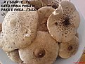 Натиснете снимката за да я уголемите

Име:DSC01039.jpg
Прегледи:201
Размер:164.1 КБ
ID:5071719