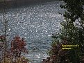 Натиснете снимката за да я уголемите

Име:12_10_08 001.jpg
Прегледи:123
Размер:275.3 КБ
ID:5071736