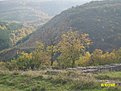 Натиснете снимката за да я уголемите

Име:ALIM1273.jpg
Прегледи:151
Размер:176.7 КБ
ID:5072238
