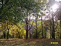 Натиснете снимката за да я уголемите

Име:ALIM1294.jpg
Прегледи:141
Размер:358.7 КБ
ID:5072255