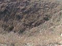 Натиснете снимката за да я уголемите

Име:7 083.jpg
Прегледи:258
Размер:147.2 КБ
ID:5072510