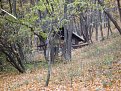 Натиснете снимката за да я уголемите

Име:S8300513.jpg
Прегледи:145
Размер:215.0 КБ
ID:5072632