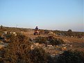Натиснете снимката за да я уголемите

Име:DSC01666.jpg
Прегледи:1754
Размер:134.9 КБ
ID:5072686